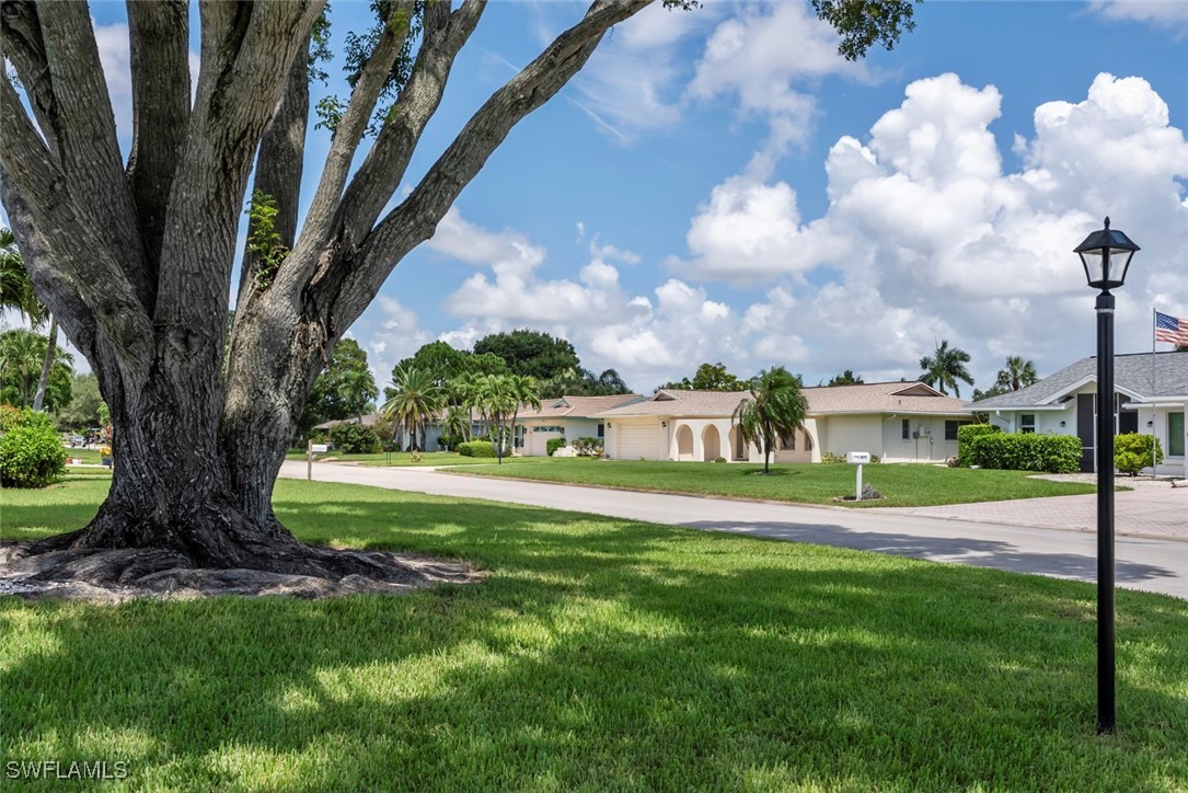 Real Estate in Southwest Florida