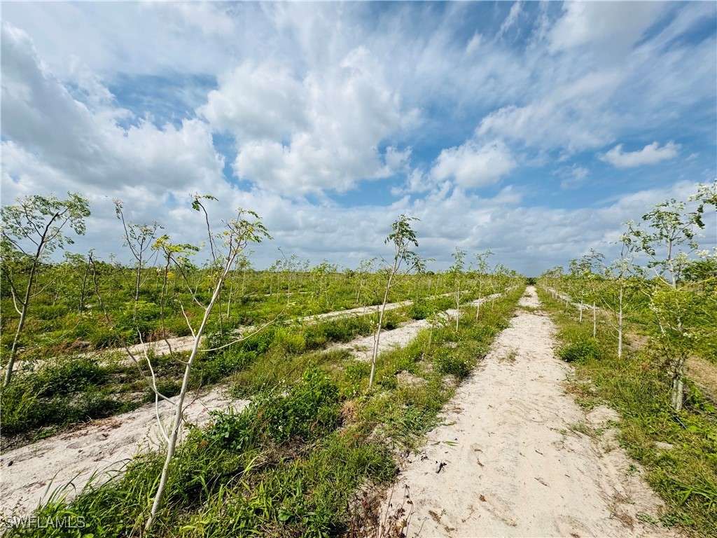 4276  2nd Road