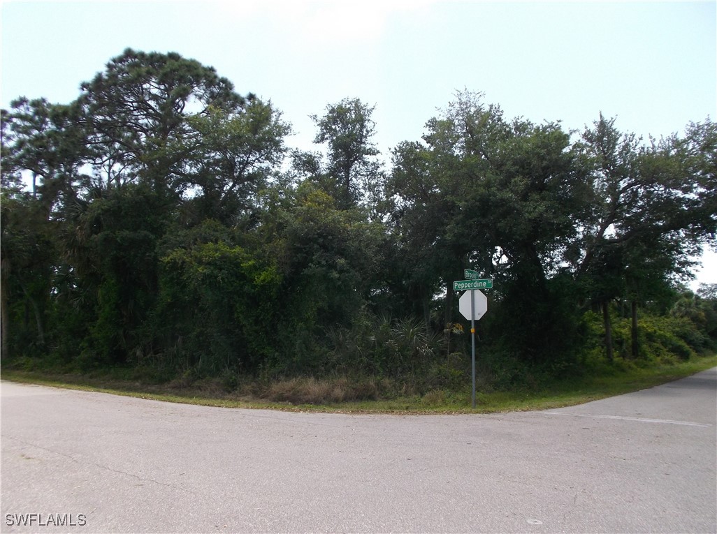 26425  Brooks Road